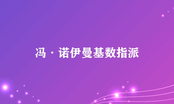 冯·诺伊曼基数指派