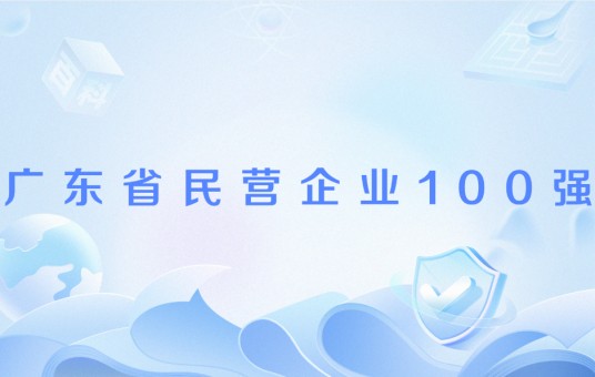 广东省民营企业100强