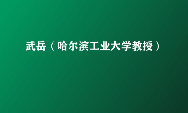 武岳（哈尔滨工业大学教授）