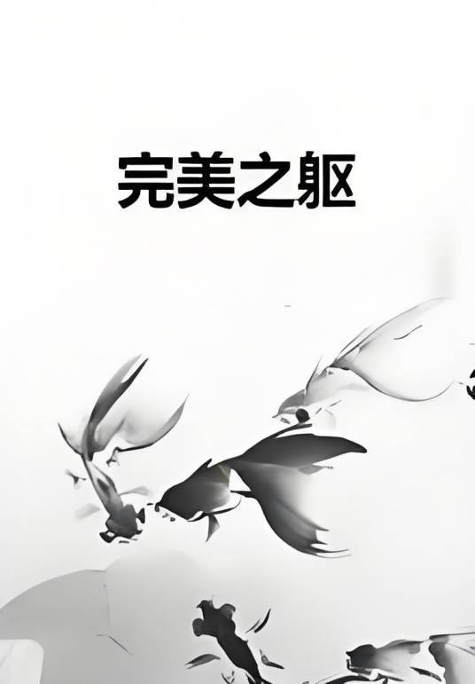 完美之躯（边某某创作的网络小说作品）