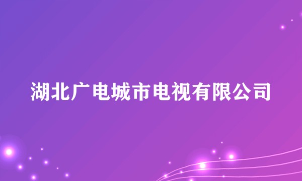 湖北广电城市电视有限公司