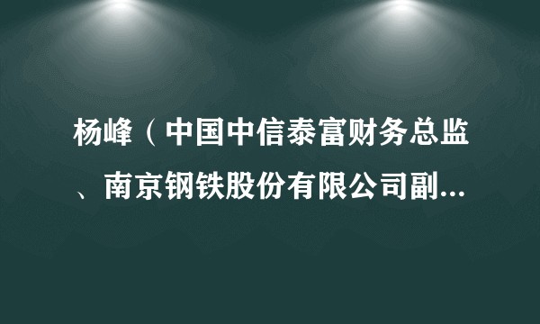 杨峰（中国中信泰富财务总监、南京钢铁股份有限公司副董事长）