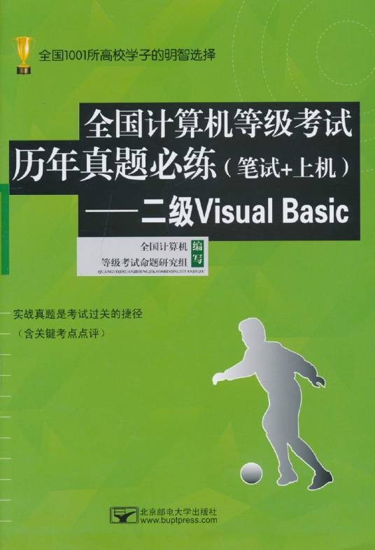 全国计算机等级考试历年真题必练：二级VisualBasic