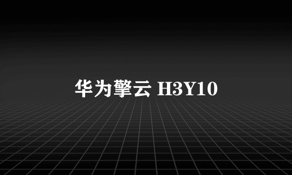 华为擎云 H3Y10