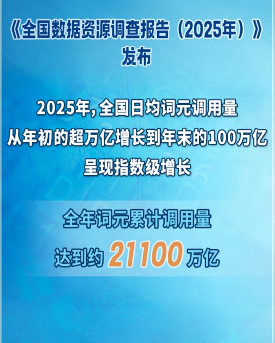全国数据资源调查报告(2025年)
