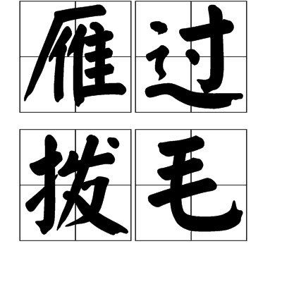 雁过拨毛