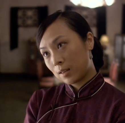 梅姨（电视剧《人间正道是沧桑》中的角色）