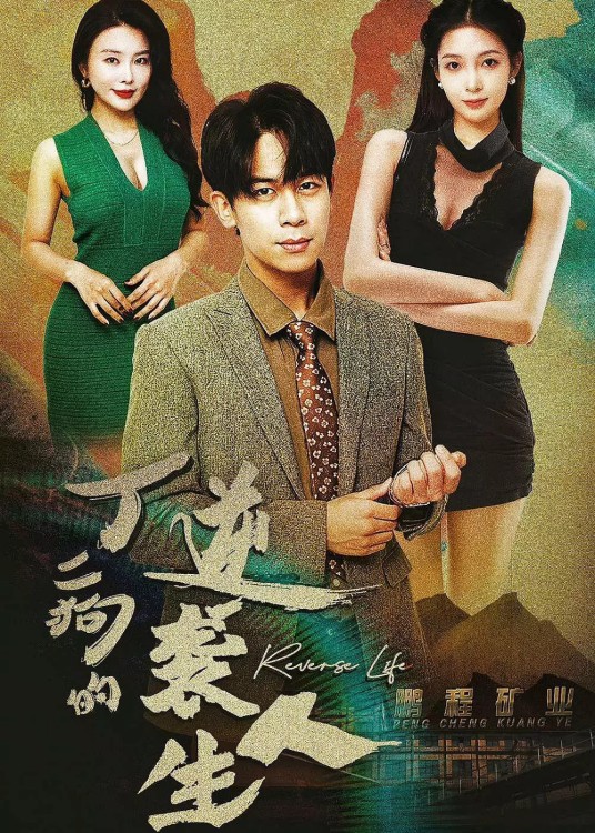 丁二狗的逆袭人生（2025年胡文飞、梦露主演的短剧）