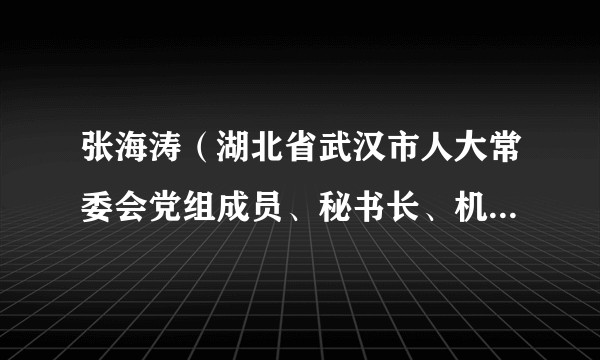 张海涛（湖北省武汉市人大常委会党组成员、秘书长、机关党组书记）