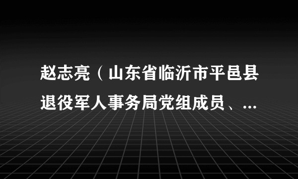 赵志亮（山东省临沂市平邑县退役军人事务局党组成员、副局长）