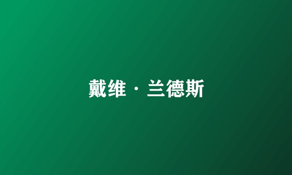 戴维·兰德斯