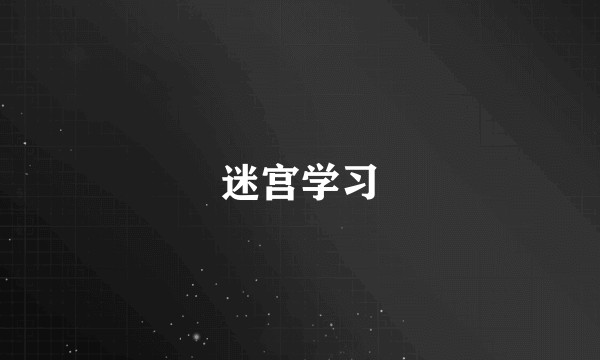 迷宫学习