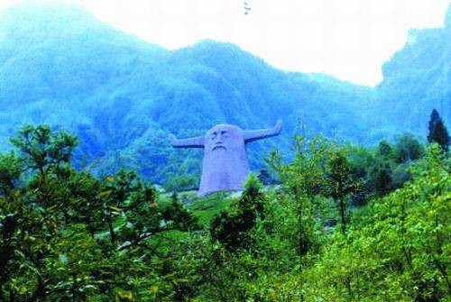 神农草