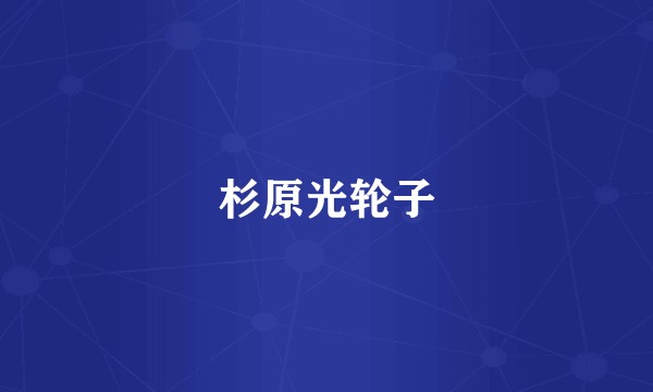 杉原光轮子