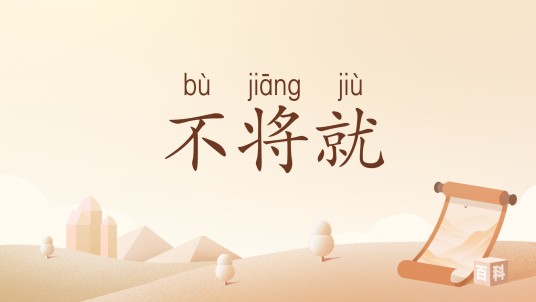 不将就（汉语词汇）