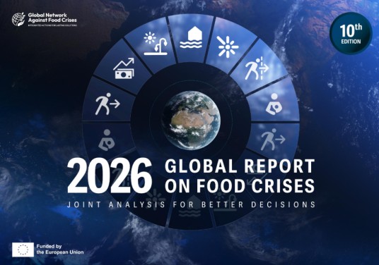 2026年全球粮食危机报告