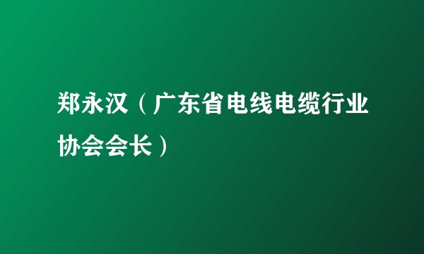 郑永汉（广东省电线电缆行业协会会长）