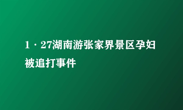 1·27湖南游张家界景区孕妇被追打事件