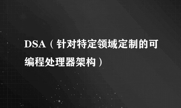 DSA(针对特定领域定制的可编程处理器架构)