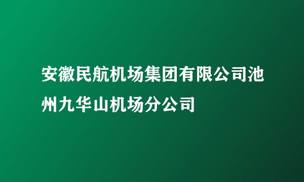 安徽民航机场集团有限公司池州九华山机场分公司