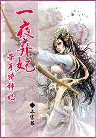 替身侍婢乱宫闱