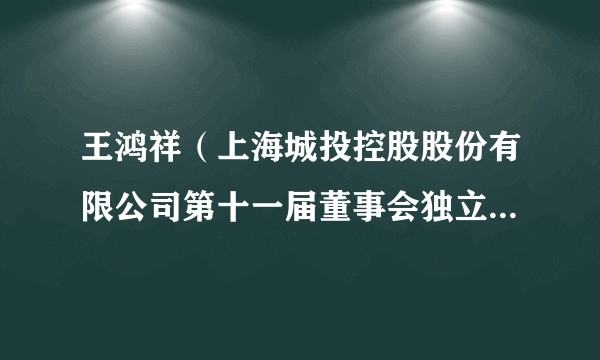 王鸿祥（上海城投控股股份有限公司第十一届董事会独立董事候选人）