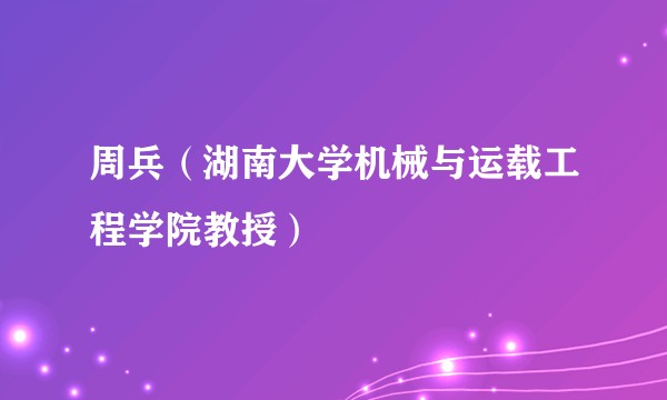 周兵（湖南大学机械与运载工程学院教授）