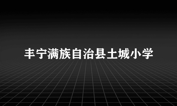 丰宁满族自治县土城小学