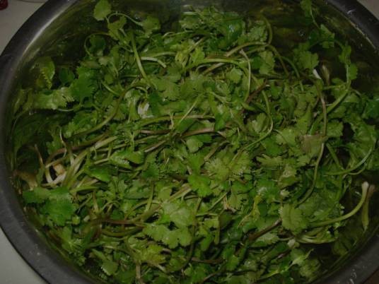 腌香菜