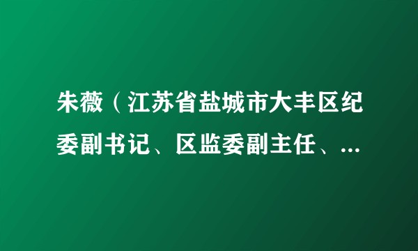 朱薇（江苏省盐城市大丰区纪委副书记、区监委副主任、四级调研员、四级高级监察官）