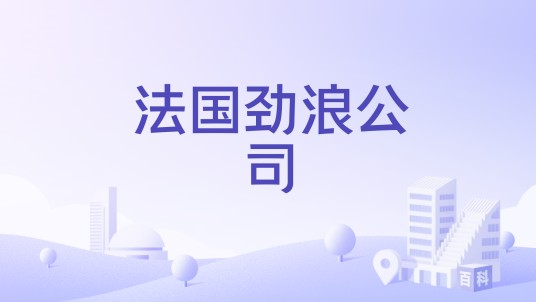 法国劲浪公司