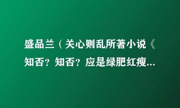 盛品兰（关心则乱所著小说《知否？知否？应是绿肥红瘦》中的角色）