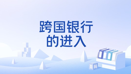 跨国银行的进入