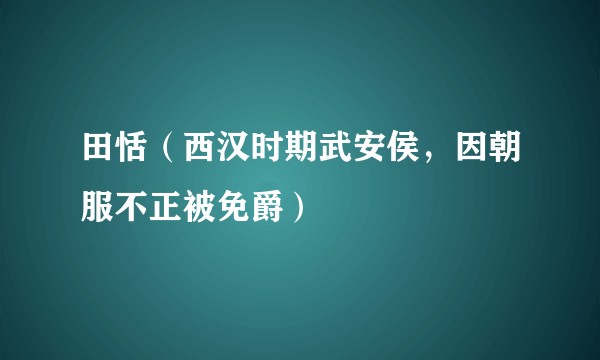 田恬（西汉时期武安侯，因朝服不正被免爵）