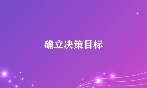 确立决策目标