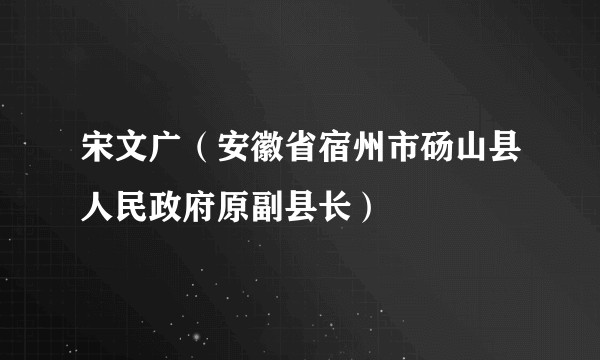 宋文广（安徽省宿州市砀山县人民政府原副县长）