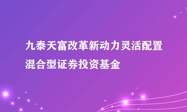 九泰天富改革新动力灵活配置混合型证券投资基金