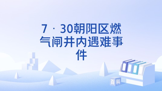 7·30朝阳区燃气闸井内遇难事件