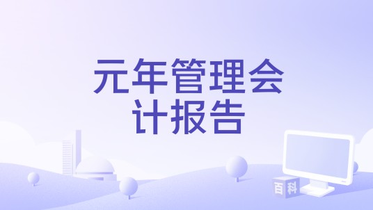 元年管理会计报告