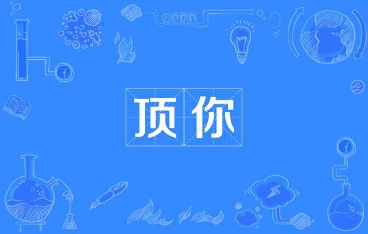 顶你
