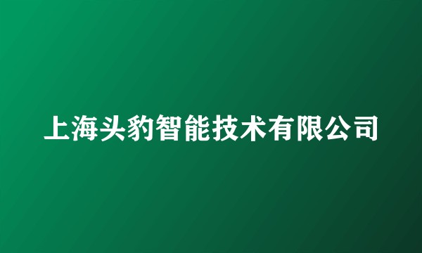 上海头豹智能技术有限公司