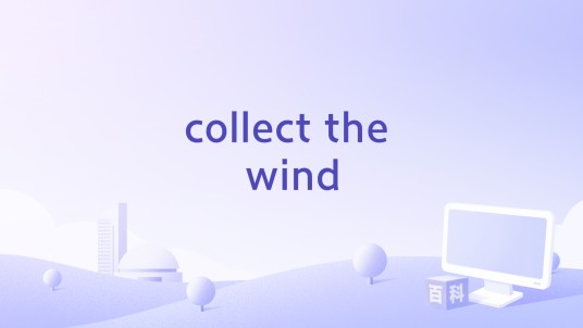 collect the wind