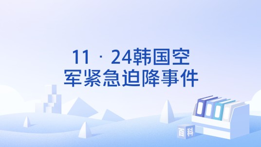 11·24韩国空军紧急迫降事件