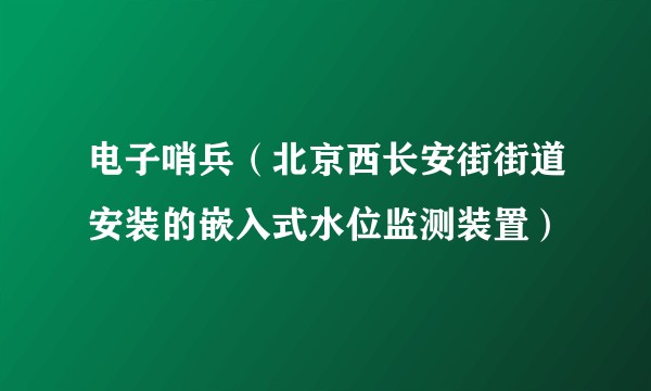 电子哨兵（北京西长安街街道安装的嵌入式水位监测装置）