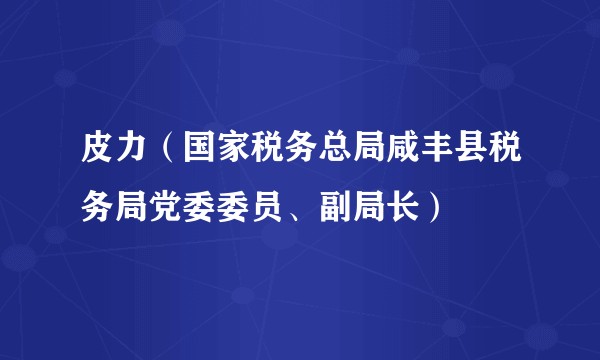 皮力（国家税务总局咸丰县税务局党委委员、副局长）