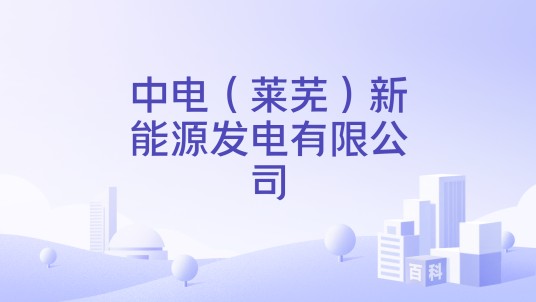 中电（莱芜）新能源发电有限公司
