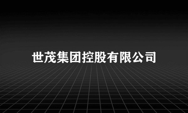 世茂集团控股有限公司