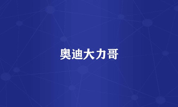 奥迪大力哥