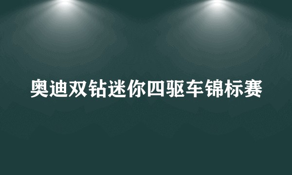 奥迪双钻迷你四驱车锦标赛