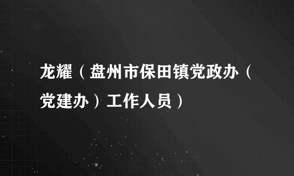 龙耀(盘州市保田镇党政办(党建办)工作人员)